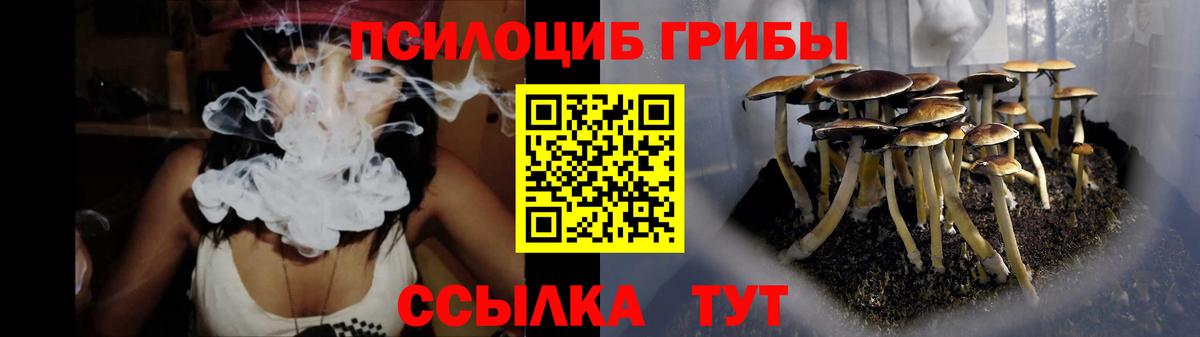 Галлюциногенные грибы Psilocybe  Вход с VPN  Ефремов  Галлюциногенные грибы ЛСД 